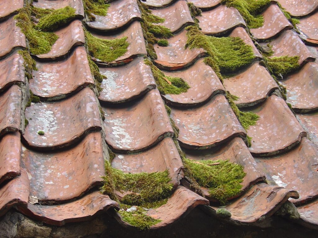 Moss removal roof