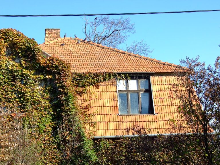 how to inspect your roof