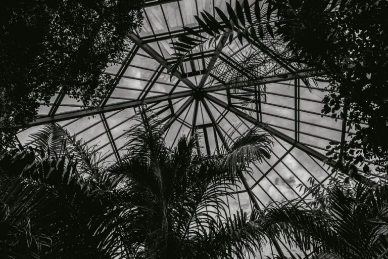 conservatory roof repairs