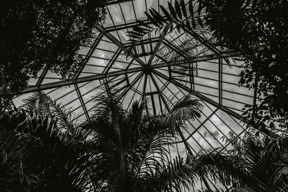 The Ultimate Guide to Conservatory Roof Repairs and Local Fixes