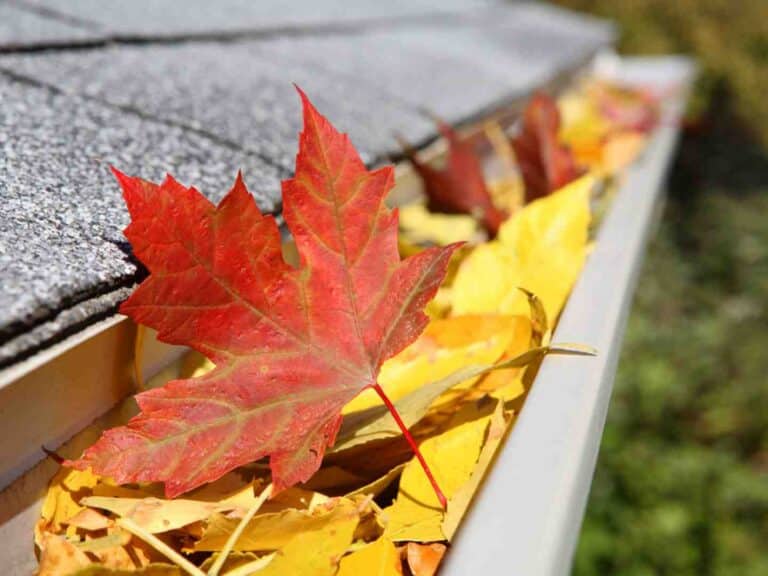 gutter and downpipe repairs